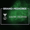 Colorbar Black Vetiver Deodorant